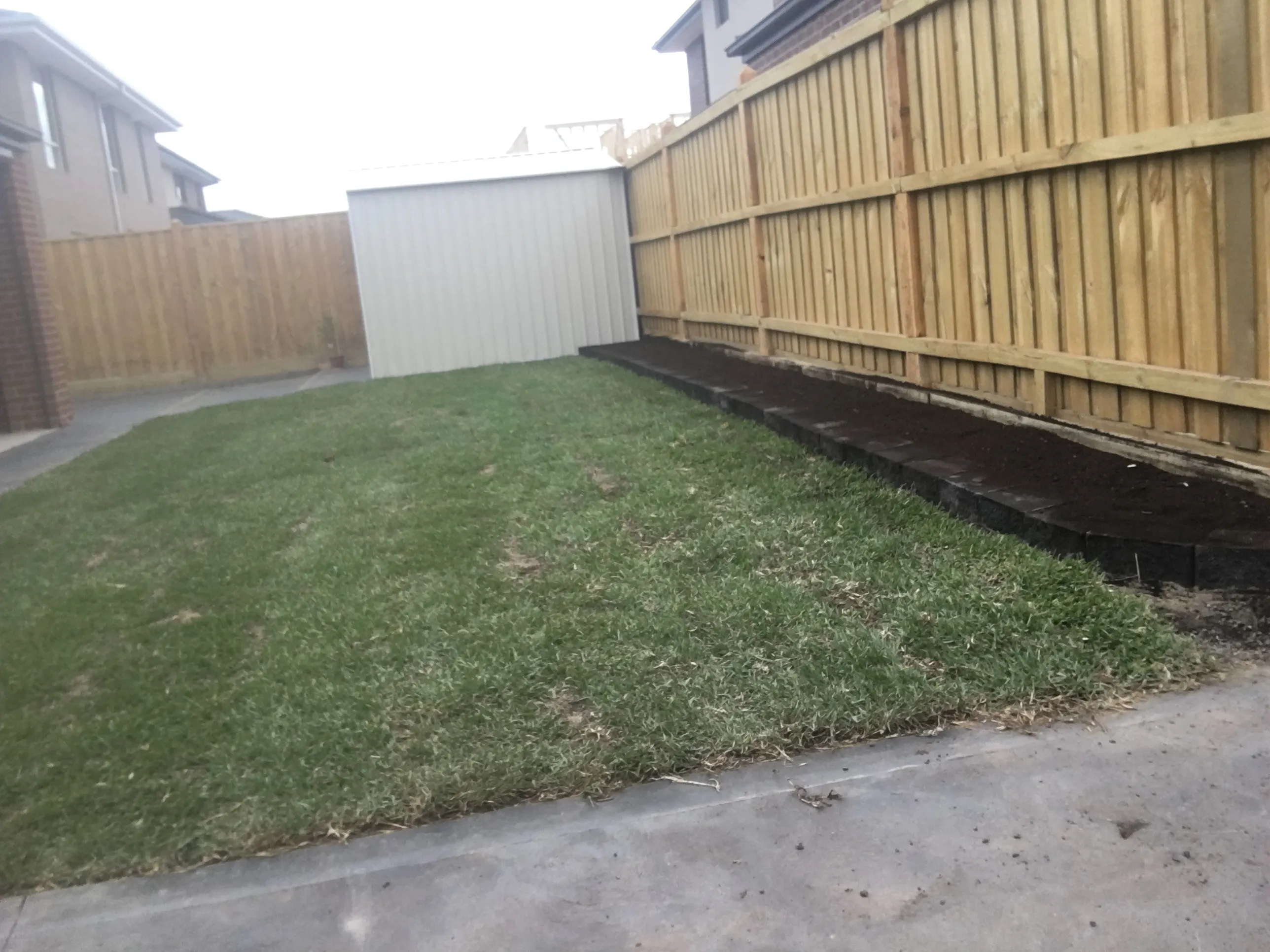 New Turf Installation in a Small Australian Backyard